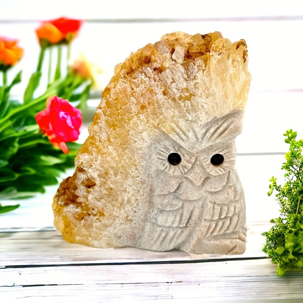 Owl Hand Carved Natural Quartz Healing Crystal Geode